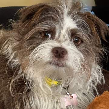 Betty Lou