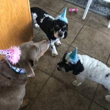 Sloan, Augie, & Ethan