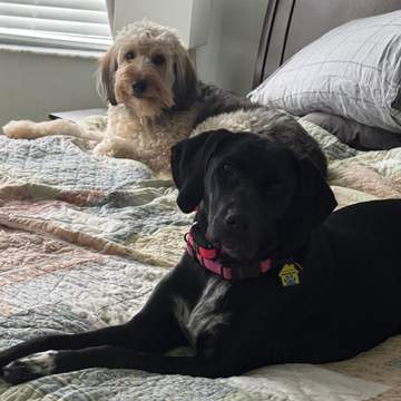 Josie and Sushi