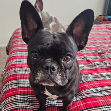 Lucy