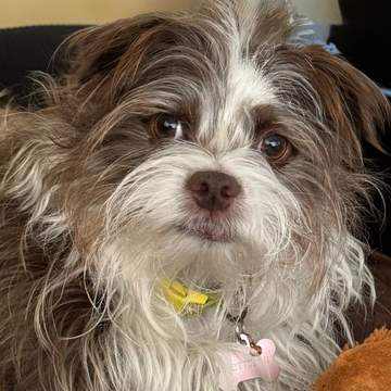 Betty Lou
