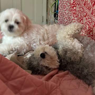 Jasper & Cassie