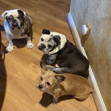 Teddy, Annie, and Randall