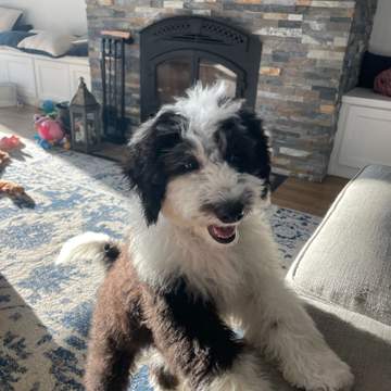 Sebastian