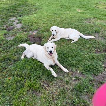 Molly and Tucker