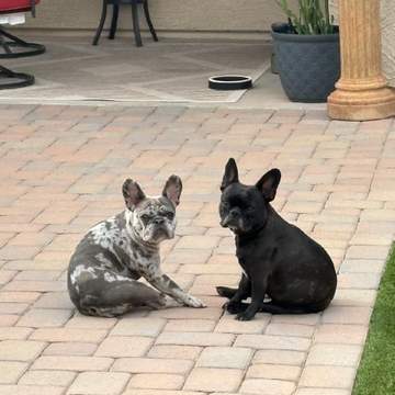 Lucy and Lola